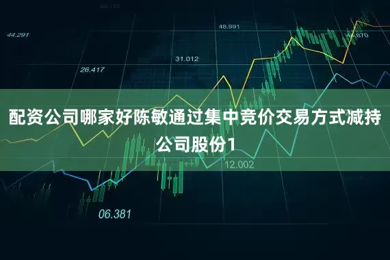 配资公司哪家好陈敏通过集中竞价交易方式减持公司股份1